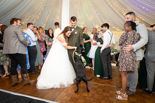 Mr & Mrs Mayhew